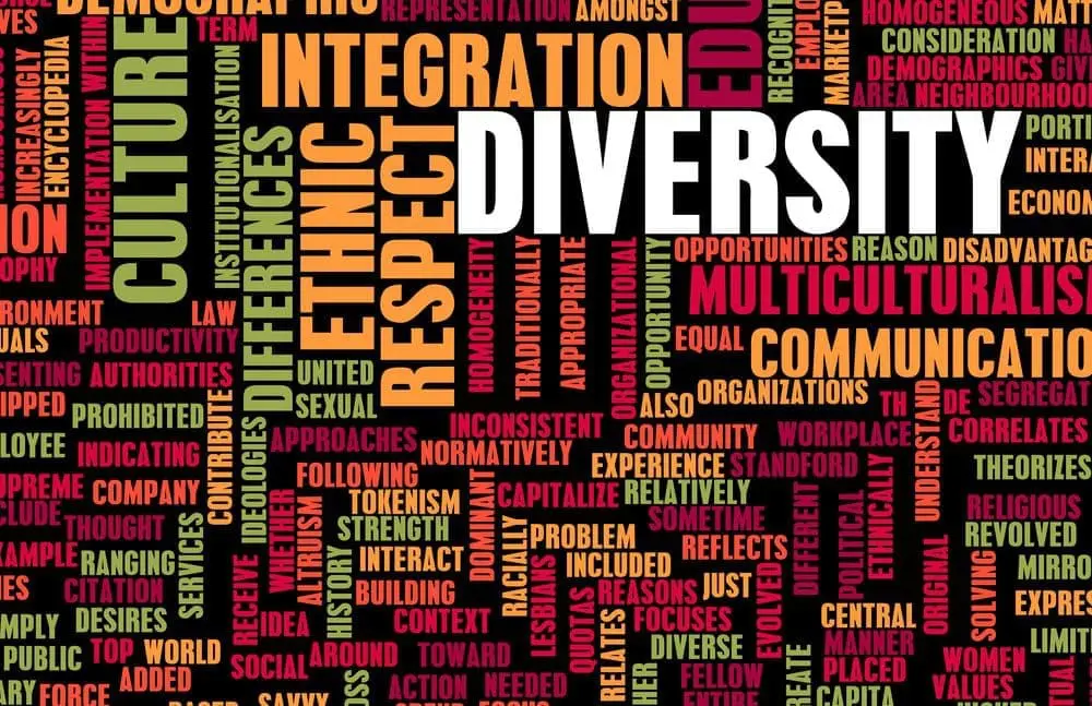 Diversity Background Check