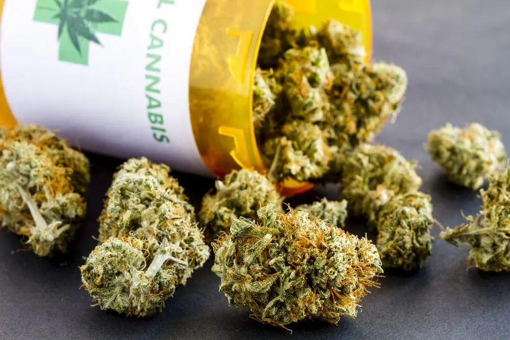 Drug Policy Background Check