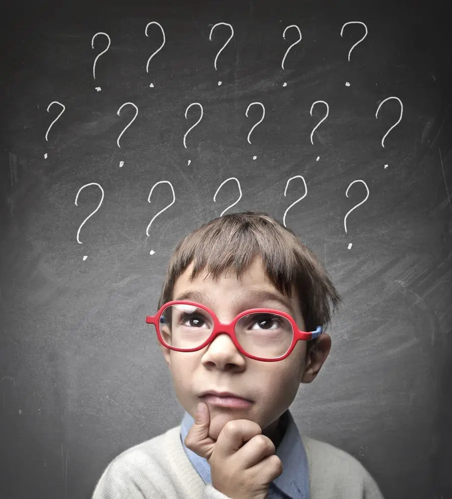 Questions Background Checks