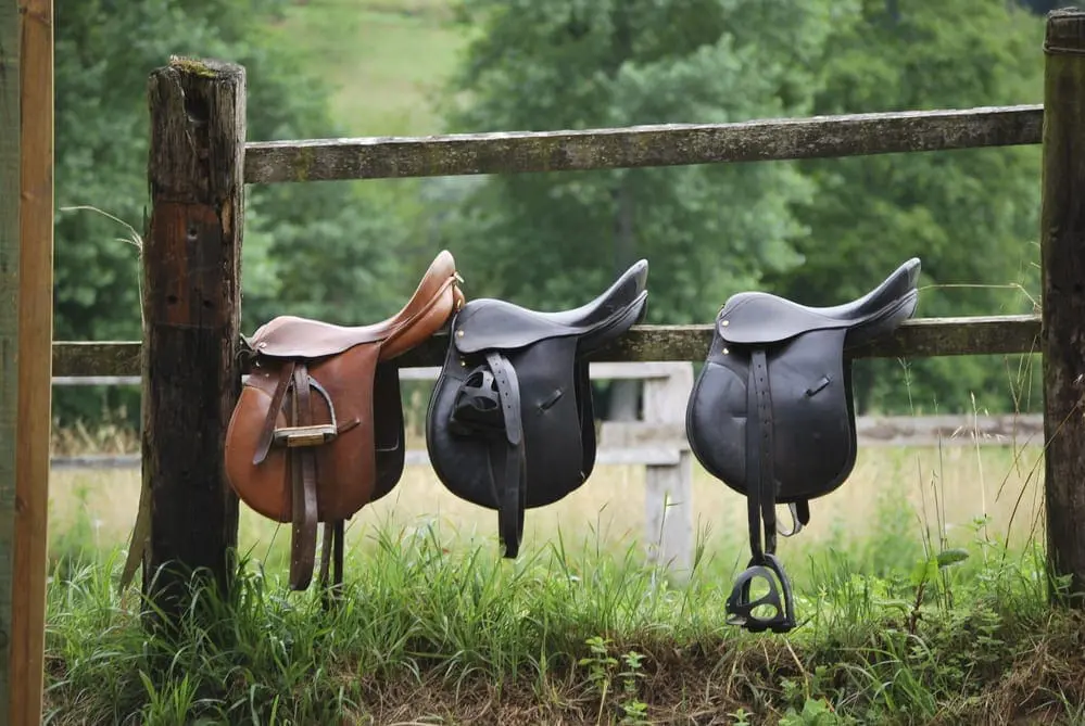 Saddle Up Background
